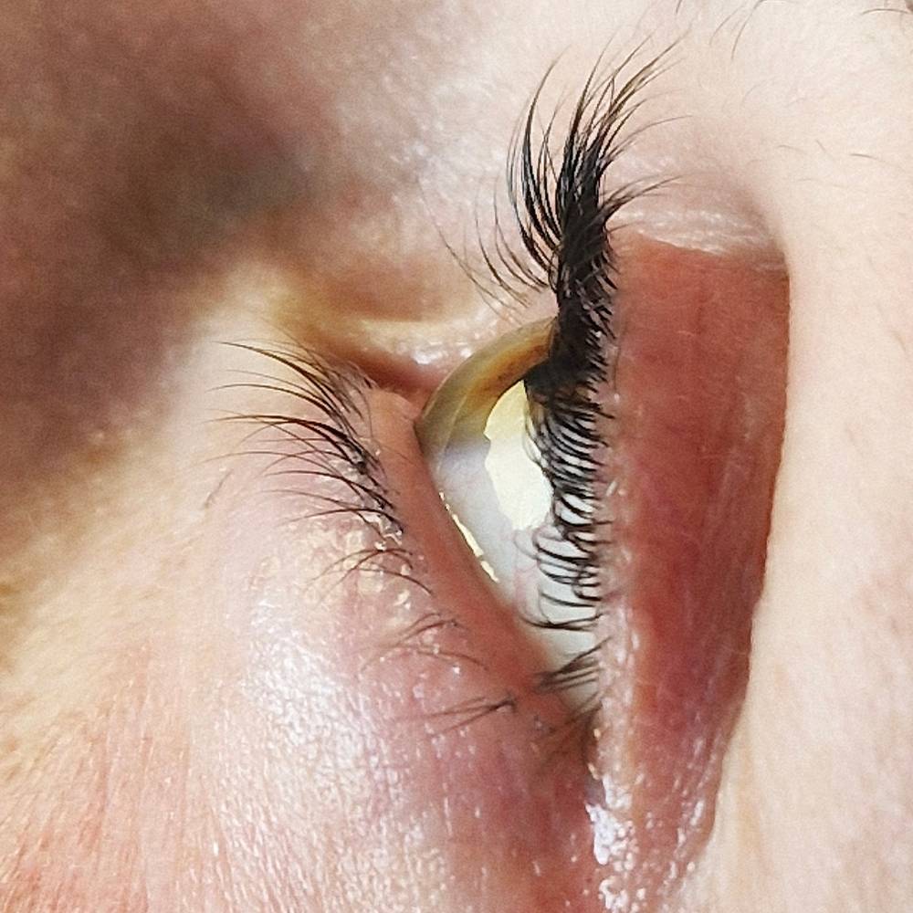 Rehaussement des cils par Cécile Fortune au salon privé Le Privilège à Vannes, Séné.